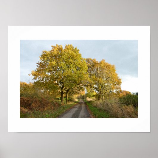 Tussen de Oaks: Rural Cheshire Poster (Voorkant)