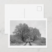 Tussen de Oaks (winter) Briefkaart (Voorkant / Achterkant)