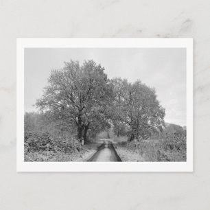 Tussen de Oaks (winter) Briefkaart