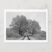 Tussen de Oaks (winter) Briefkaart (Voorkant)