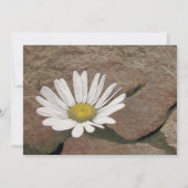 Tussen een rots en een harde plek kaart (Achterkant)