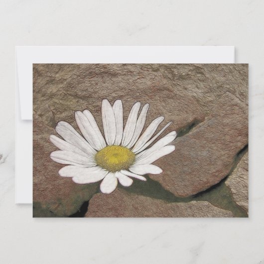 Tussen een rots en een harde plek kaart (Achterkant)