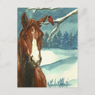 Tussen Friends Wild Horse Post Card Briefkaart