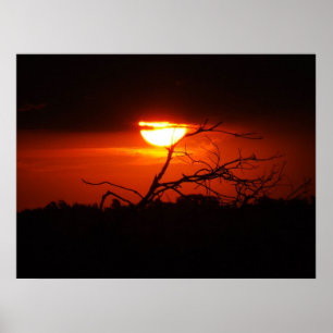 Tussen het donkere Poster