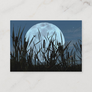 Tussen maan en Marsh ATC-fotokaart Visitekaartje