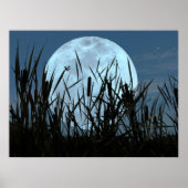 Tussen Moon en Marsh Poster (Voorkant)
