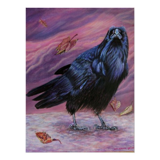 Tussen Werelden - Raven Poster (Voorkant)
