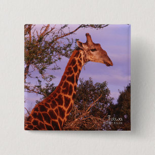 Tutwa, giraffe in Botswana, Button