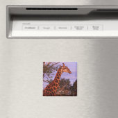 Tutwa, giraffe in Tetswana, Magnet (Insitu (Vaatwasser))