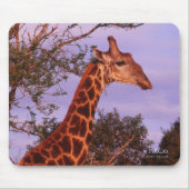Tutwa, giraffe in Tetswana, Mousepad Muismat (Voorkant)