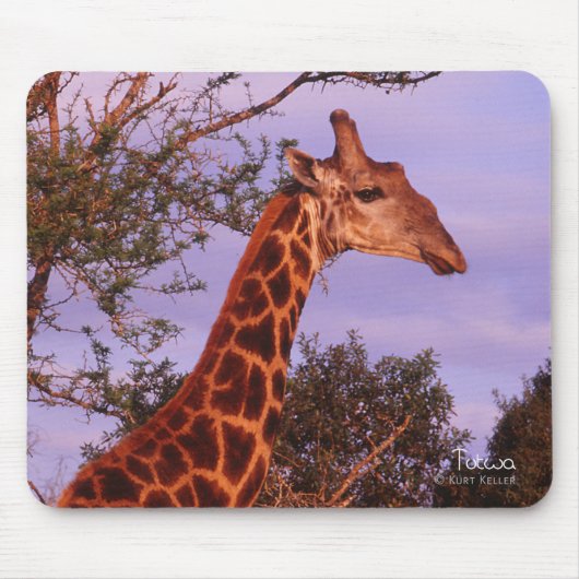 Tutwa, giraffe in Tetswana, Mousepad Muismat (Voorkant)
