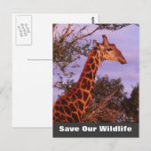 Tutwa Save Our Wildlife Briefkaart (Voorkant / Achterkant)