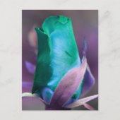 Tuurse Roosknop Bloem Persoonlijk Briefkaart (Voorkant)