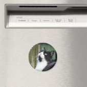 Tux - 2¼ inch ronde magneet (Insitu (Vaatwasser))
