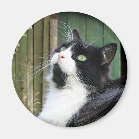Tux - 2¼ inch ronde magneet (Voorkant)