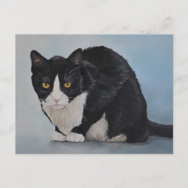 Tuxedo Black White Briefkaart voor horthair kat
