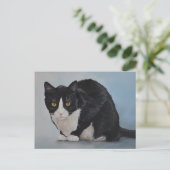Tuxedo Black White Briefkaart voor horthair kat (Staand voorkant)