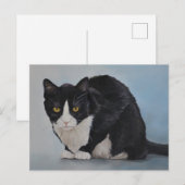Tuxedo Black White Briefkaart voor horthair kat (Voorkant / Achterkant)