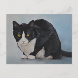 Tuxedo Black White Briefkaart voor horthair kat