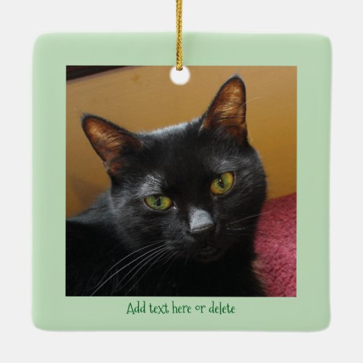 Tuxedo Black White Christmas Cat Keramisch Ornament (Achterkant)