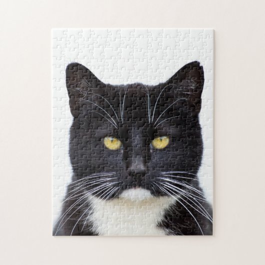 Tuxedo Cat 11x14 Photo Puzzle with Gift Box Legpuzzel (Verticaal)