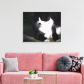 Tuxedo Cat 20 x 16-inch opgerold Canvas afdrukken (Insitu (Woonkamer))