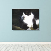 Tuxedo Cat 20 x 16-inch opgerold Canvas afdrukken (Insitu (Houten vloer))
