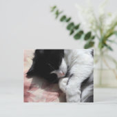 Tuxedo Cat Art Cute Pink Nose Kitty Cats Art Briefkaart (Staand voorkant)