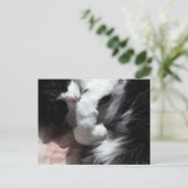 Tuxedo Cat Art Cute Pink Nose Kitty Cats Art Briefkaart (Staand voorkant)