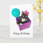 Tuxedo Cat Birthday Kaart (Gele Bloem)