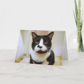 Tuxedo Cat Birthday Matt Humor Kaart (Achterkant)