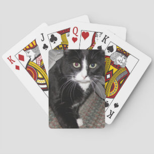 Tuxedo Cat Black en White Pokerkaarten