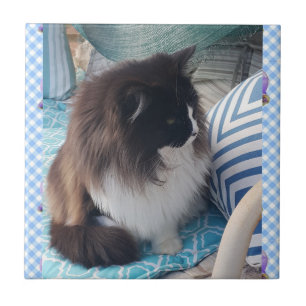 Tuxedo cat Black White Furry Cat Ceramic Tile Tegeltje