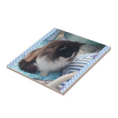 Tuxedo cat Black White Furry Cat Ceramic Tile Tegeltje (Zijkant)