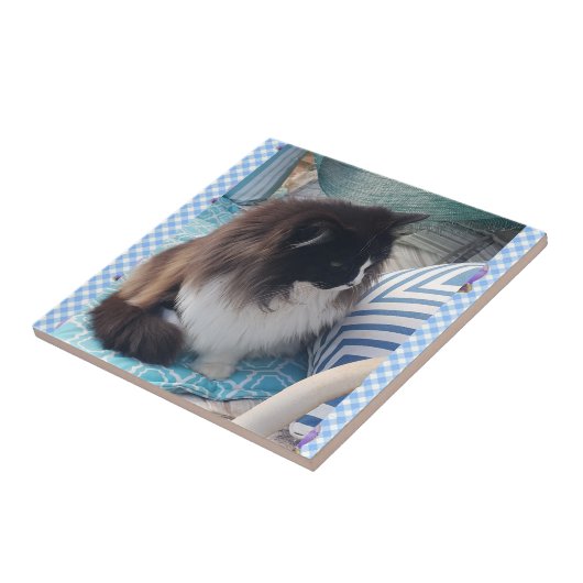 Tuxedo cat Black White Furry Cat Ceramic Tile Tegeltje (Zijkant)