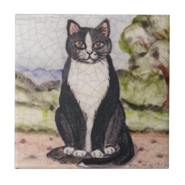 Tuxedo Cat Black & White Landscape Antiek Vintage Tegeltje
