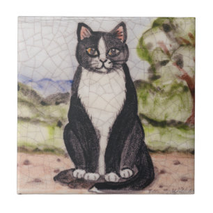 Tuxedo Cat Black & White Landscape Antiek Vintage Tegeltje