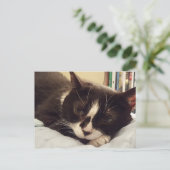 Tuxedo Cat briefkaart (Staand voorkant)