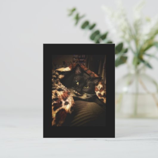 Tuxedo Cat Briefkaart (Staand voorkant)