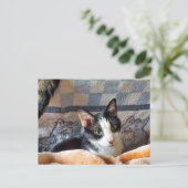 Tuxedo Cat Briefkaart (Staand voorkant)