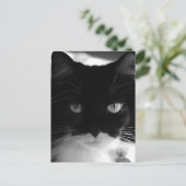 TUXEDO CAT-BRIEFKAARTEN BRIEFKAART (Staand voorkant)