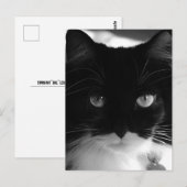TUXEDO CAT-BRIEFKAARTEN BRIEFKAART (Voorkant / Achterkant)