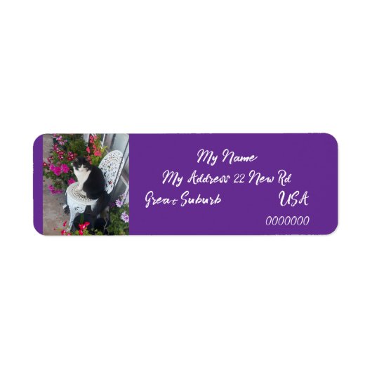 Tuxedo cat Cats Art Return Address Labels Purple (Voorkant)