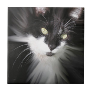 Tuxedo Cat Ceramic Tegel Tegeltje