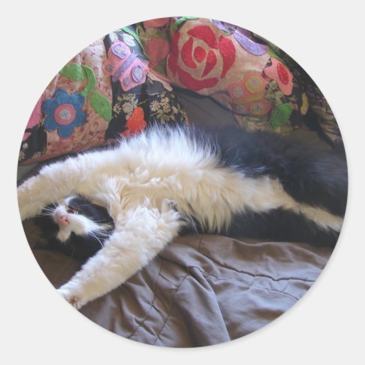 Tuxedo Cat Cute doing a Mexican Wave Postcard Ronde Sticker (Voorkant)