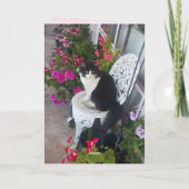 Tuxedo Cat Cute  Flowers Kat kerstkaart Kaart (Achterkant)