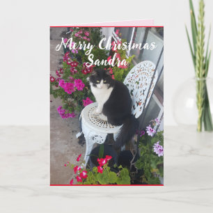Tuxedo Cat Cute  Flowers Kat kerstkaart Kaart