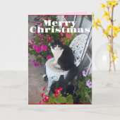 Tuxedo Cat Cute Flowers Kat kerstkaart Kaart (Gele Bloem)
