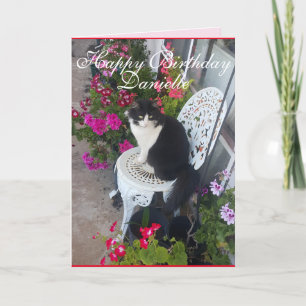 Tuxedo Cat Cute  Flowers Katten Birthday Card Kaart
