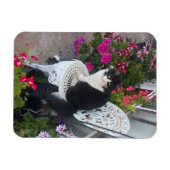 Tuxedo Cat Cute  Flowers Katten Birthday Card Magneet (Horizontaal)